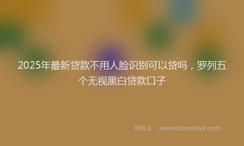 2025年最新贷款不用人脸识别可以贷吗，罗列五个无视黑白贷款口子