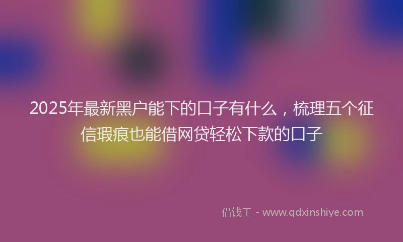 2025年最新黑户能下的口子有什么，梳理五个征信瑕疵也能借网贷轻松下款的口子