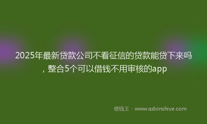 2025年最新贷款公司不看征信的贷款能贷下来吗，整合5个可以借钱不用审核的app
