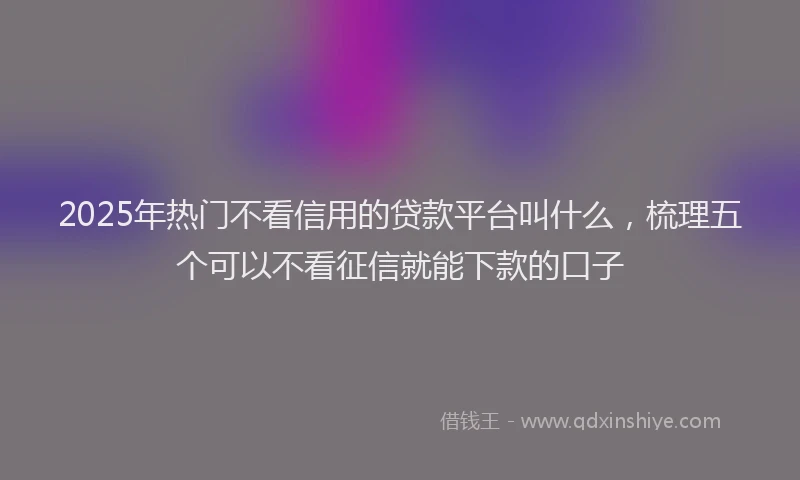 2025年热门不看信用的贷款平台叫什么，梳理五个可以不看征信就能下款的口子