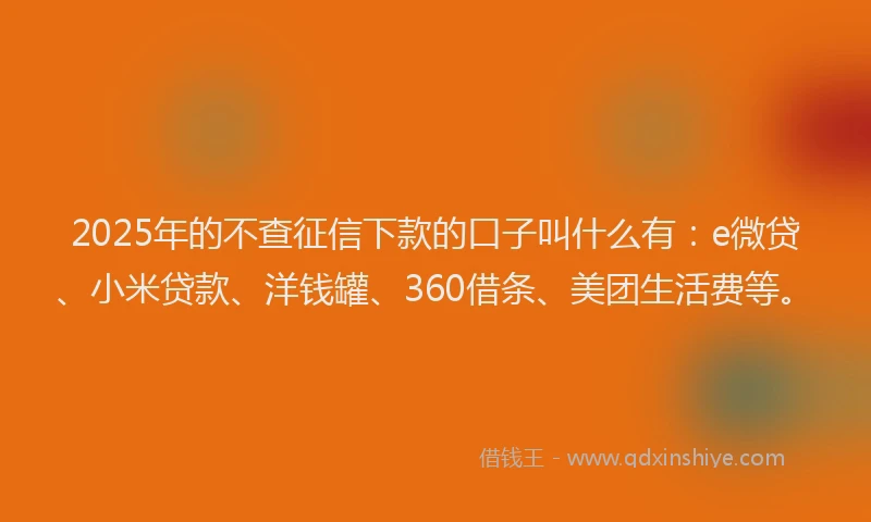 2025年的不查征信下款的口子叫什么有：e微贷、小米贷款、洋钱罐、360借条、美团生活费等。