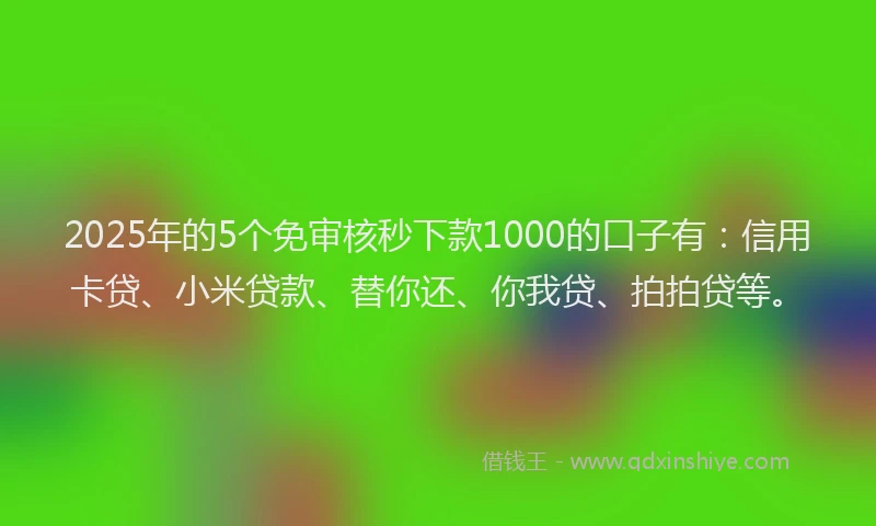 2025年的5个免审核秒下款1000的口子有：信用卡贷、小米贷款、替你还、你我贷、拍拍贷等。