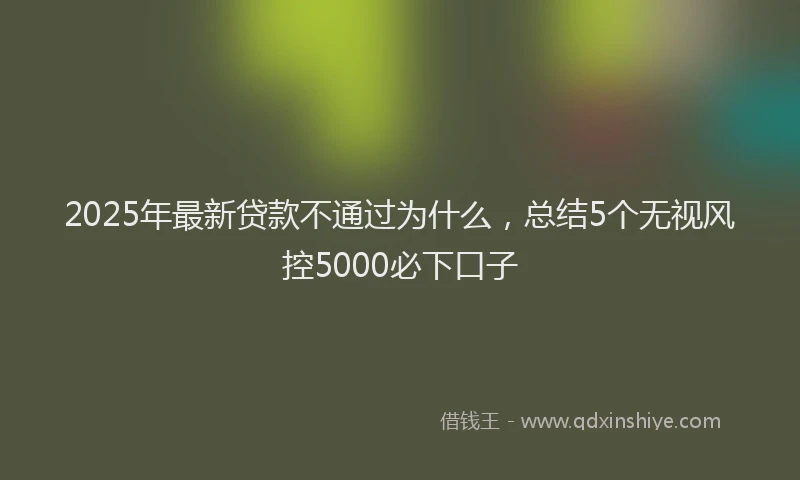 2025年最新贷款不通过为什么，总结5个无视风控5000必下口子