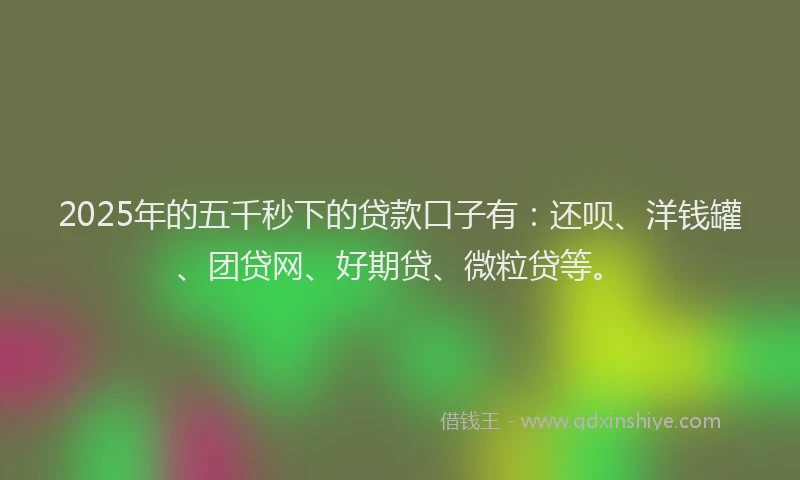 2025年的五千秒下的贷款口子有：还呗、洋钱罐、团贷网、好期贷、微粒贷等。