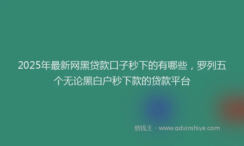 2025年最新网黑贷款口子秒下的有哪些，罗列五个无论黑白户秒下款的贷款平台