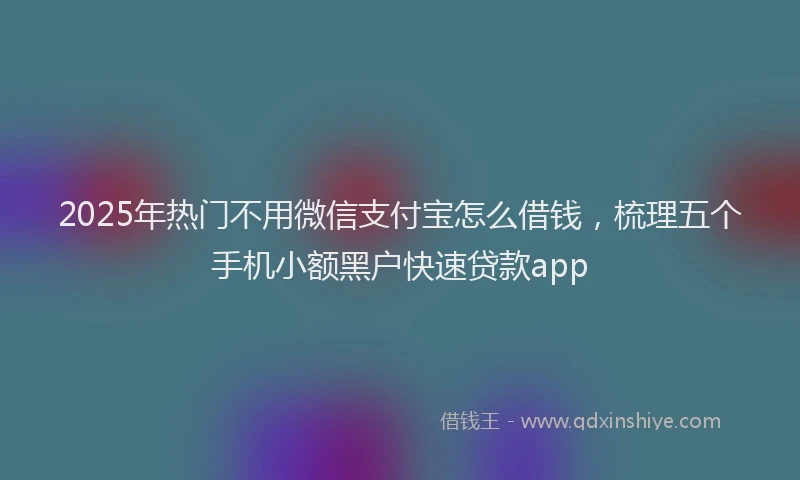 2025年热门不用微信支付宝怎么借钱，梳理五个手机小额黑户快速贷款app