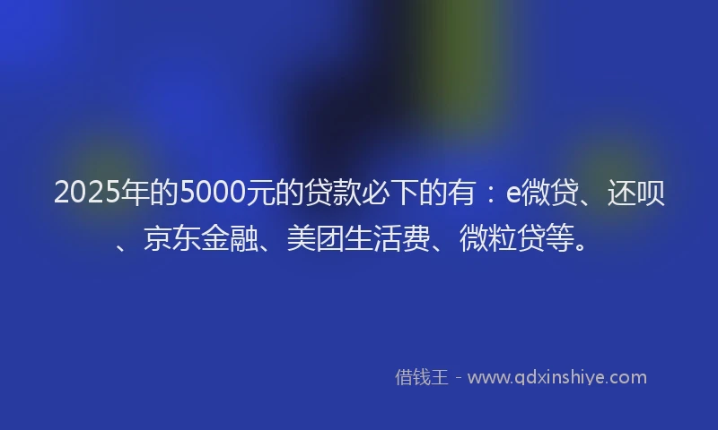 2025年的5000元的贷款必下的有：e微贷、还呗、京东金融、美团生活费、微粒贷等。