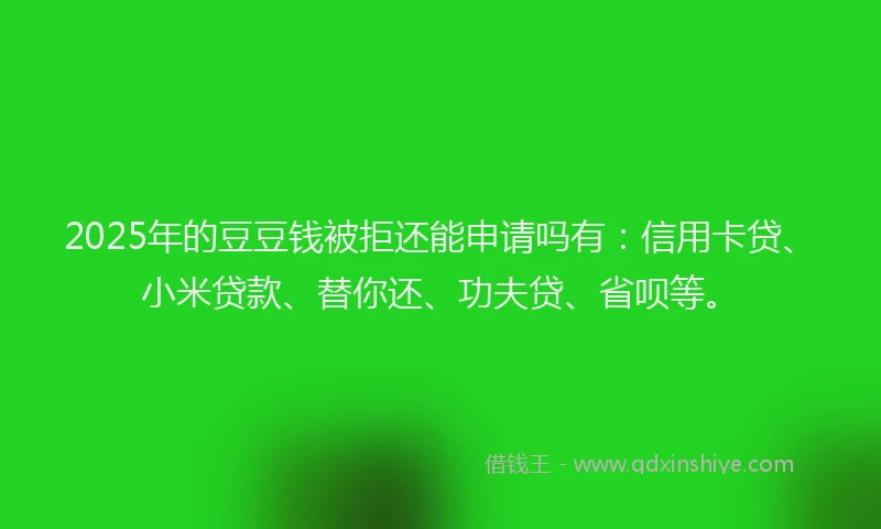 2025年的豆豆钱被拒还能申请吗有：信用卡贷、小米贷款、替你还、功夫贷、省呗等。
