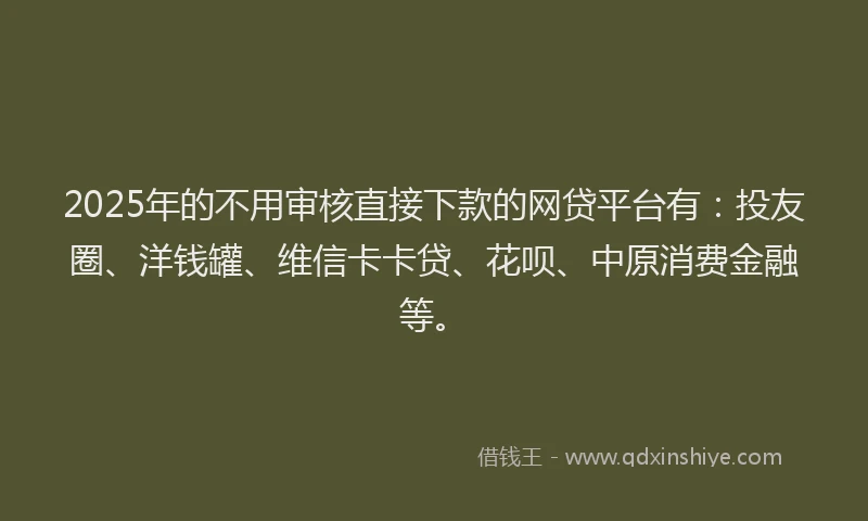2025年的不用审核直接下款的网贷平台有：投友圈、洋钱罐、维信卡卡贷、花呗、中原消费金融等。