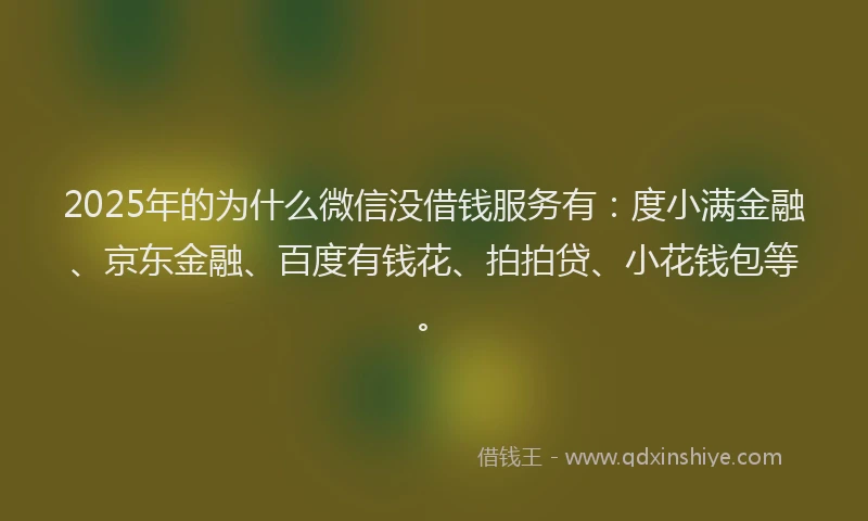 2025年的为什么微信没借钱服务有：度小满金融、京东金融、百度有钱花、拍拍贷、小花钱包等。