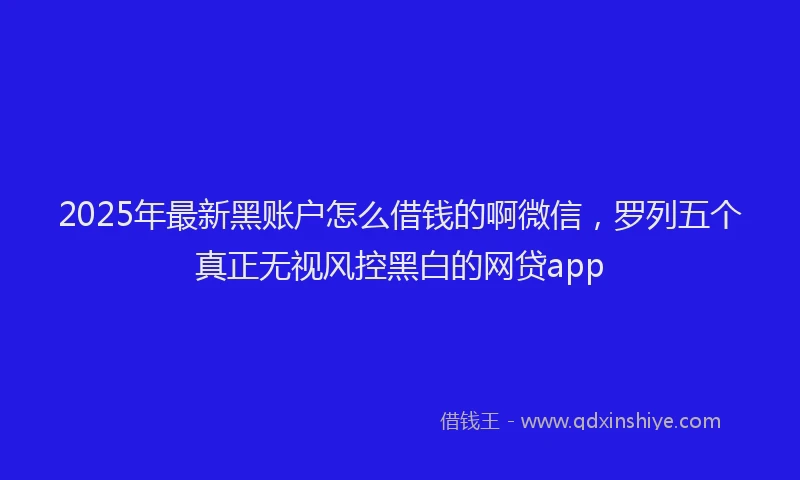 2025年最新黑账户怎么借钱的啊微信，罗列五个真正无视风控黑白的网贷app