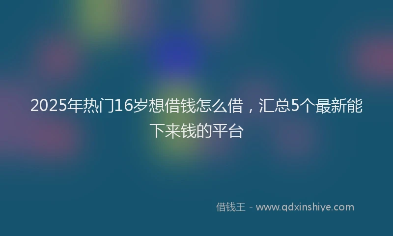 2025年热门16岁想借钱怎么借，汇总5个最新能下来钱的平台
