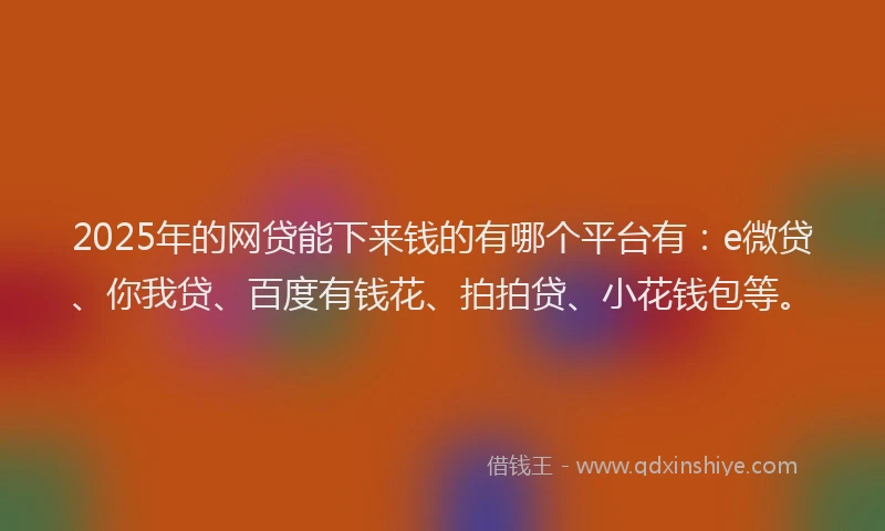 2025年的网贷能下来钱的有哪个平台有：e微贷、你我贷、百度有钱花、拍拍贷、小花钱包等。