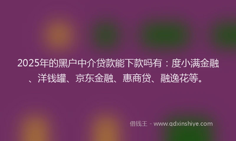 2025年的黑户中介贷款能下款吗有：度小满金融、洋钱罐、京东金融、惠商贷、融逸花等。