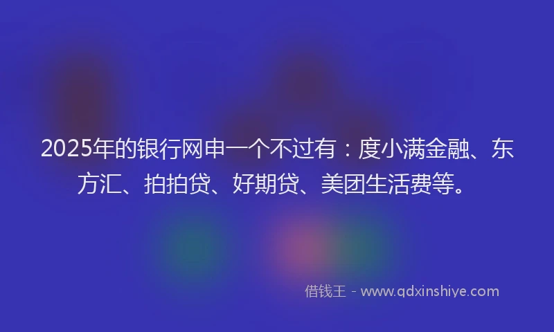 2025年的银行网申一个不过有：度小满金融、东方汇、拍拍贷、好期贷、美团生活费等。