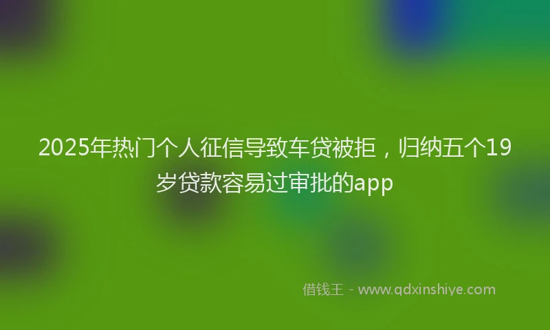 2025年热门个人征信导致车贷被拒，归纳五个19岁贷款容易过审批的app