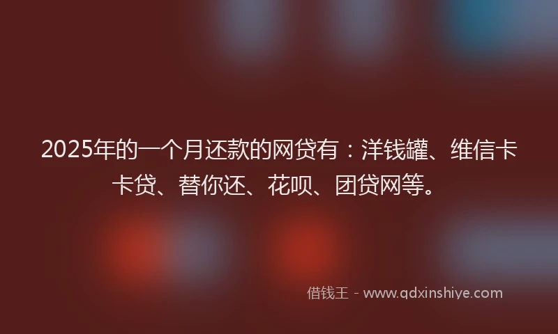 2025年的一个月还款的网贷有：洋钱罐、维信卡卡贷、替你还、花呗、团贷网等。
