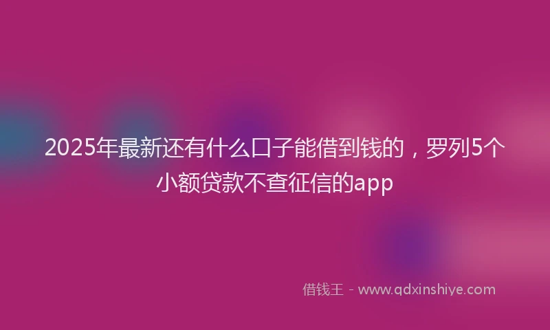2025年最新还有什么口子能借到钱的，罗列5个小额贷款不查征信的app