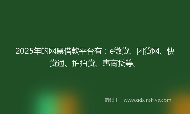 2025年的网黑借款平台有：e微贷、团贷网、快贷通、拍拍贷、惠商贷等。