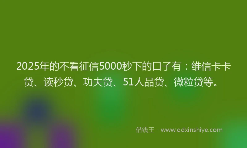 2025年的不看征信5000秒下的口子有：维信卡卡贷、读秒贷、功夫贷、51人品贷、微粒贷等。
