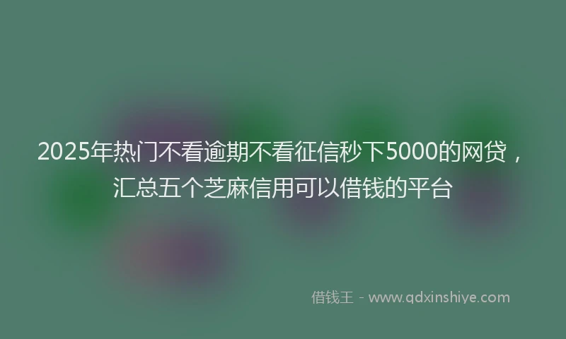 2025年热门不看逾期不看征信秒下5000的网贷，汇总五个芝麻信用可以借钱的平台