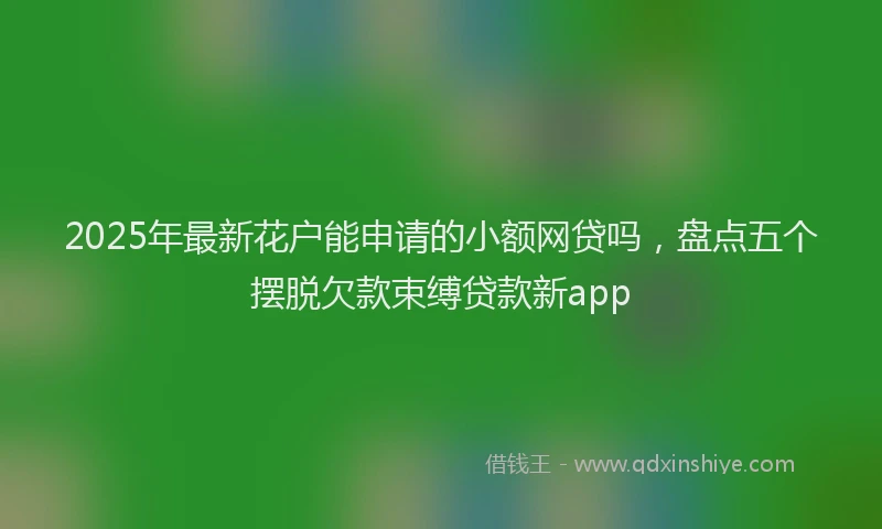 2025年最新花户能申请的小额网贷吗，盘点五个摆脱欠款束缚贷款新app