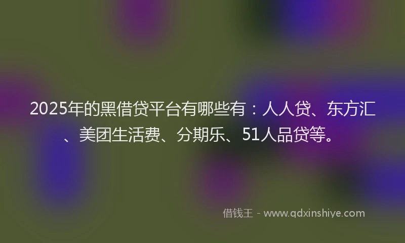 2025年的黑借贷平台有哪些有：人人贷、东方汇、美团生活费、分期乐、51人品贷等。