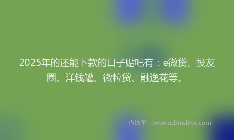 2025年的还能下款的口子贴吧有：e微贷、投友圈、洋钱罐、微粒贷、融逸花等。