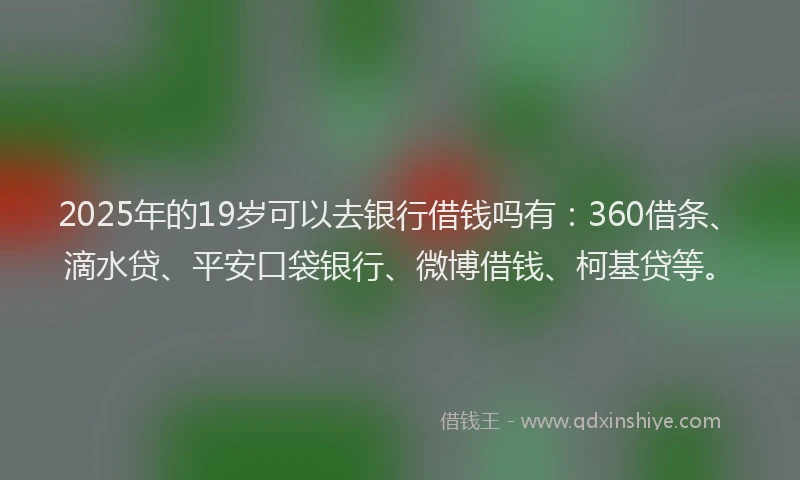 2025年的19岁可以去银行借钱吗有：360借条、滴水贷、平安口袋银行、微博借钱、柯基贷等。