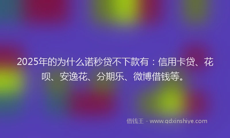 2025年的为什么诺秒贷不下款有：信用卡贷、花呗、安逸花、分期乐、微博借钱等。