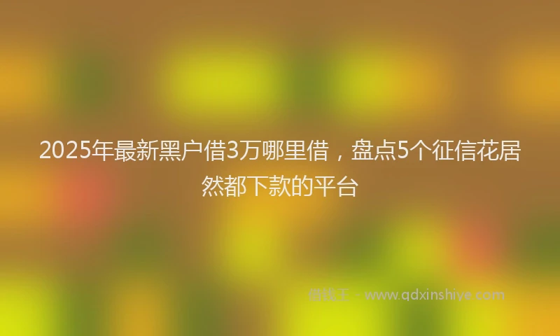 2025年最新黑户借3万哪里借，盘点5个征信花居然都下款的平台