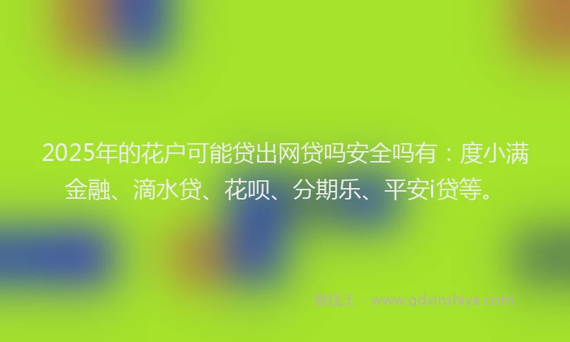 2025年的花户可能贷出网贷吗安全吗有：度小满金融、滴水贷、花呗、分期乐、平安i贷等。