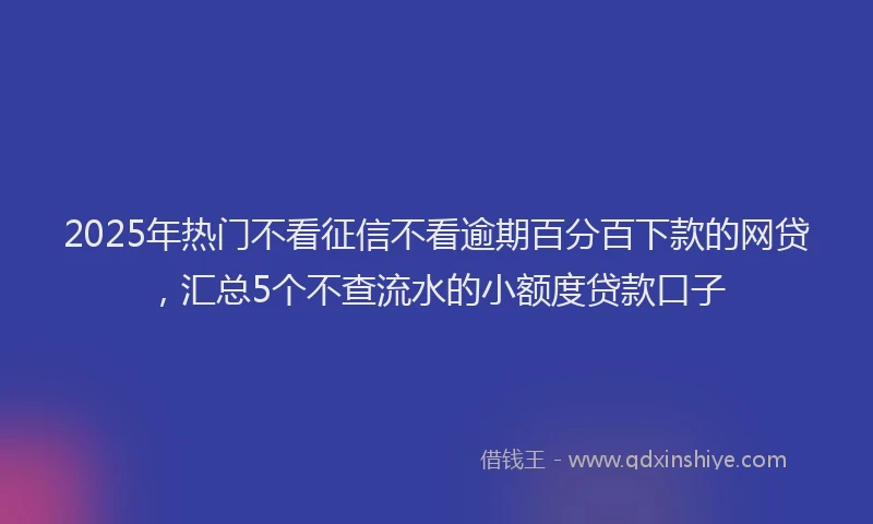 2025年热门不看征信不看逾期百分百下款的网贷，汇总5个不查流水的小额度贷款口子