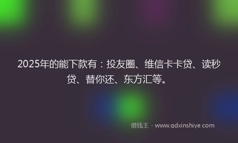2025年的能下款有：投友圈、维信卡卡贷、读秒贷、替你还、东方汇等。