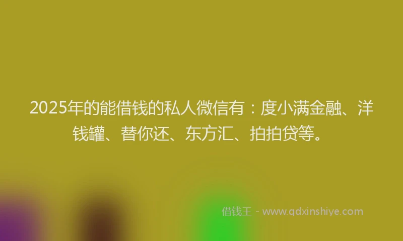 2025年的能借钱的私人微信有：度小满金融、洋钱罐、替你还、东方汇、拍拍贷等。