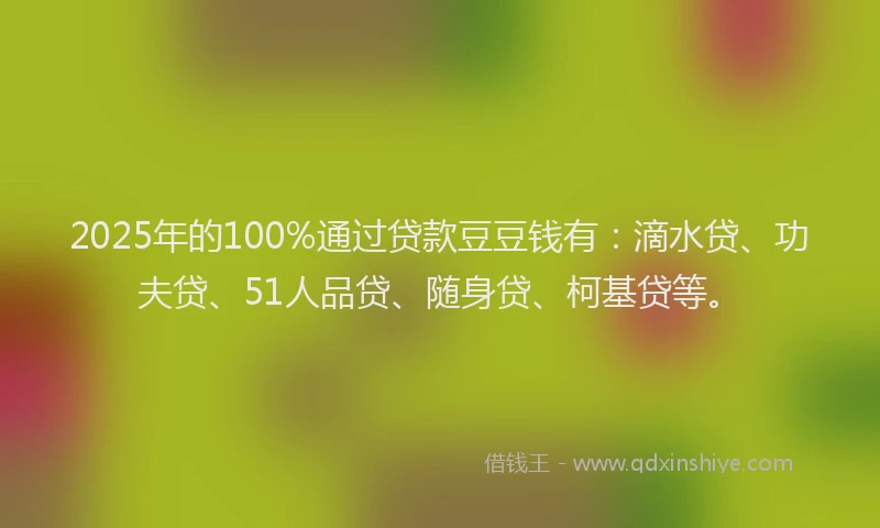 2025年的100%通过贷款豆豆钱有：滴水贷、功夫贷、51人品贷、随身贷、柯基贷等。