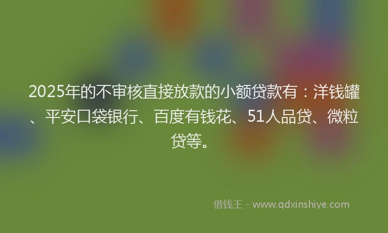 2025年的不审核直接放款的小额贷款有：洋钱罐、平安口袋银行、百度有钱花、51人品贷、微粒贷等。
