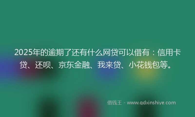 2025年的逾期了还有什么网贷可以借有：信用卡贷、还呗、京东金融、我来贷、小花钱包等。