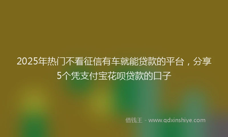 2025年热门不看征信有车就能贷款的平台，分享5个凭支付宝花呗贷款的口子