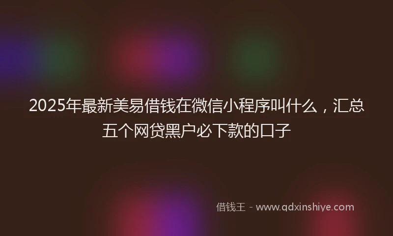 2025年最新美易借钱在微信小程序叫什么，汇总五个网贷黑户必下款的口子