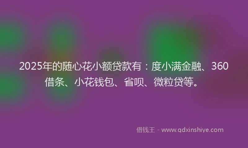 2025年的随心花小额贷款有：度小满金融、360借条、小花钱包、省呗、微粒贷等。