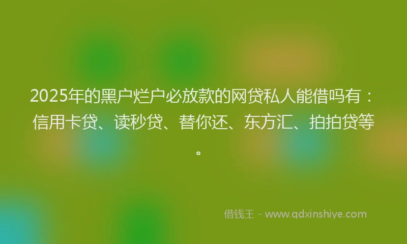 2025年的黑户烂户必放款的网贷私人能借吗有：信用卡贷、读秒贷、替你还、东方汇、拍拍贷等。