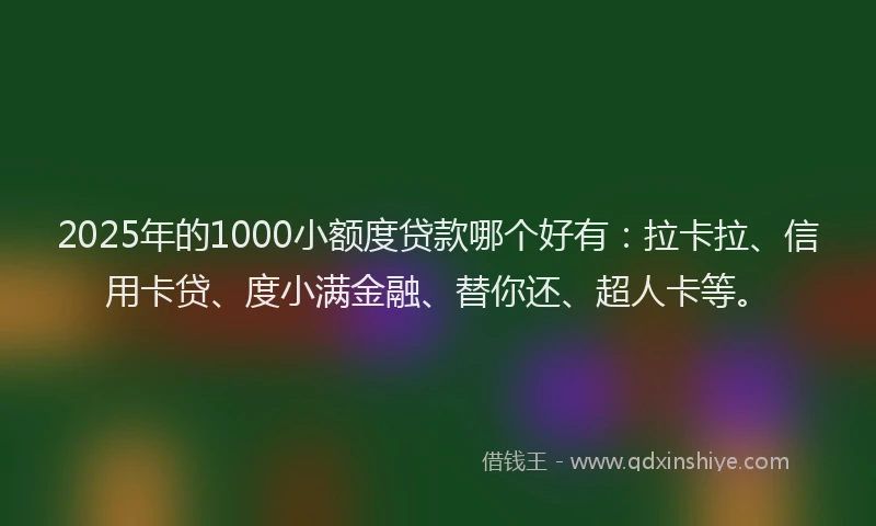 2025年的1000小额度贷款哪个好有：拉卡拉、信用卡贷、度小满金融、替你还、超人卡等。