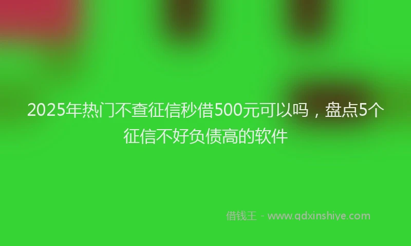 2025年热门不查征信秒借500元可以吗，盘点5个征信不好负债高的软件