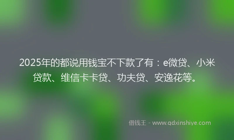 2025年的都说用钱宝不下款了有：e微贷、小米贷款、维信卡卡贷、功夫贷、安逸花等。