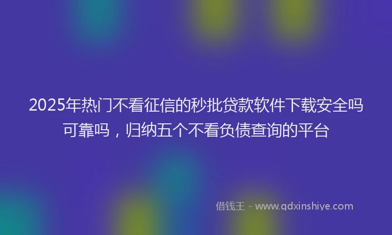 2025年热门不看征信的秒批贷款软件下载安全吗可靠吗，归纳五个不看负债查询的平台