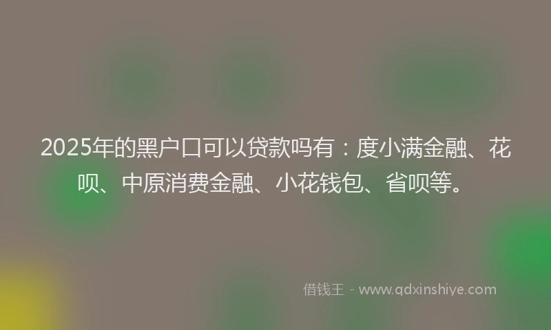 2025年的黑户口可以贷款吗有：度小满金融、花呗、中原消费金融、小花钱包、省呗等。