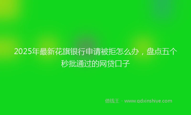 2025年最新花旗银行申请被拒怎么办，盘点五个秒批通过的网贷口子