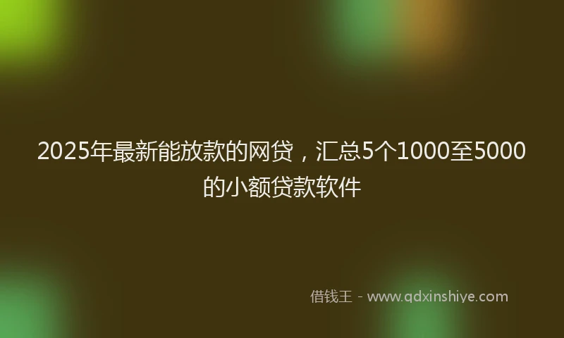 2025年最新能放款的网贷，汇总5个1000至5000的小额贷款软件