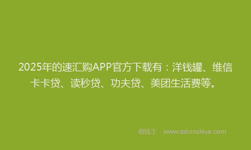 2025年的速汇购APP官方下载有：洋钱罐、维信卡卡贷、读秒贷、功夫贷、美团生活费等。